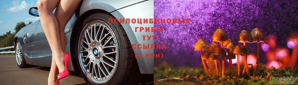 хмурый Елизово
