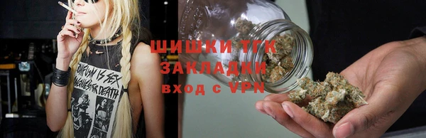 хмурый Елизово